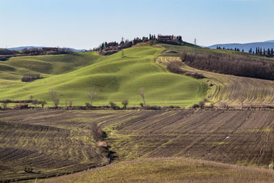 Scenic view of agricultural field against clear sky