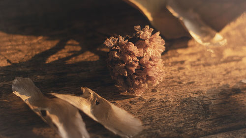 High angle view of flowers on table