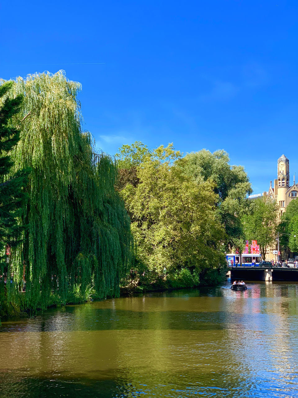 SCENIC VIEW OF RIVER AGAINST TREES