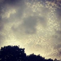 Low angle view of cloudy sky