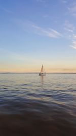 Sailboat sailing in sea against sky during sunset