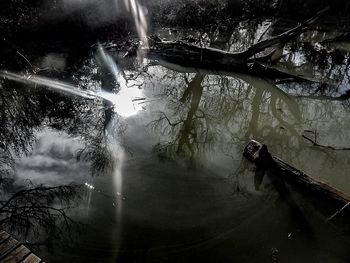 Reflection of trees in water