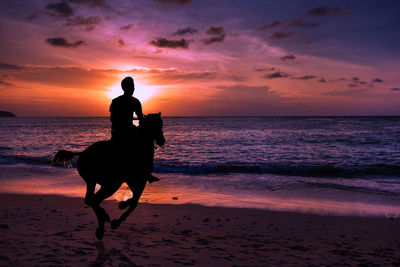 Silhouette man riding horse at beach against sky during sunset