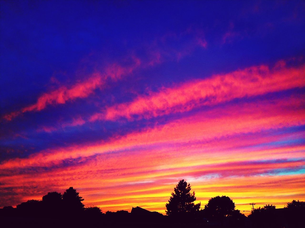 silhouette, sunset, tree, sky, beauty in nature, scenics, orange color, tranquility, tranquil scene, cloud - sky, low angle view, nature, idyllic, dramatic sky, cloud, dusk, majestic, outdoors, no people, blue