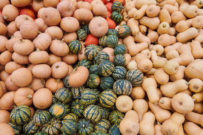 High angle view of vegetables for sale at market stall