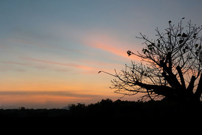 Silhouette trees against sky during sunset