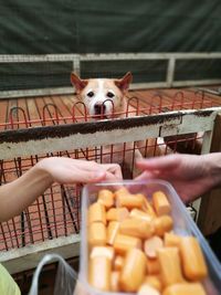 Close-up of man preparing food