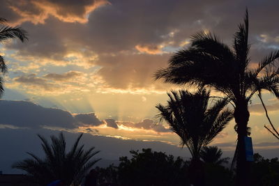 Low angle view of silhouette palm trees against sky during sunset