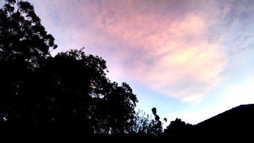 Low angle view of silhouette trees against sky