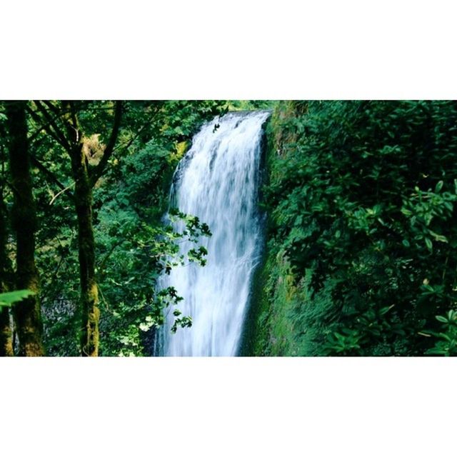 waterfall, water, motion, beauty in nature, flowing water, transfer print, forest, long exposure, tree, scenics, nature, auto post production filter, flowing, growth, green color, rock - object, blurred motion, idyllic, tranquility, tranquil scene