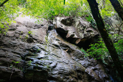 Low angle view of rock formation