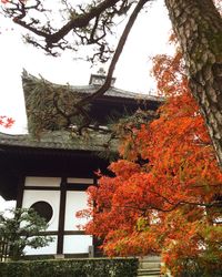 Low angle view of building with trees in background