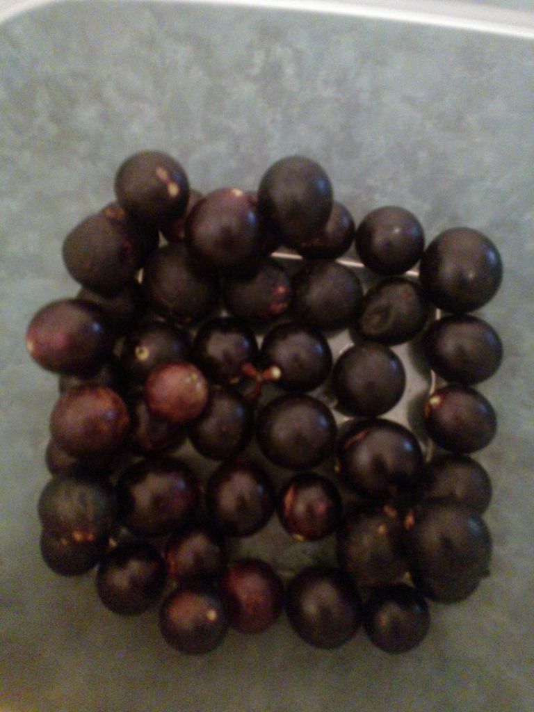 food and drink, food, fruit, healthy eating, freshness, indoors, still life, table, close-up, grape, high angle view, ripe, bowl, organic, large group of objects, directly above, no people, juicy, blueberry, abundance