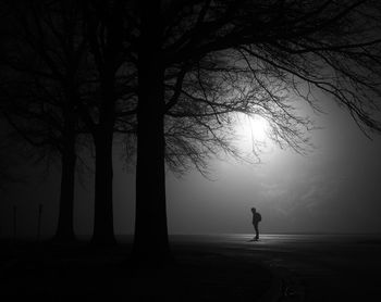 Silhouette person standing by tree against sky during foggy weather