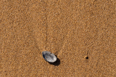 High angle view of shoes on sand