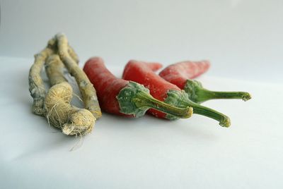 Close-up of chili peppers on white background