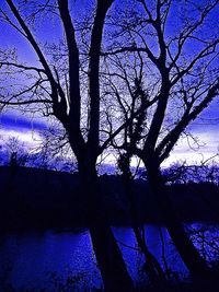 Low angle view of silhouette tree against sky