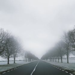 Empty road along trees