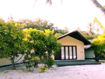 House and yellow flowering tree by building against clear sky