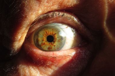Extreme close up of human eye
