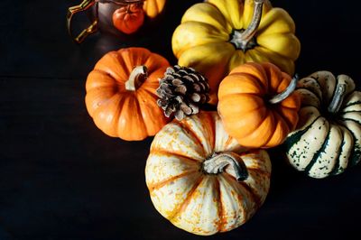 Close-up of pumpkins against black background