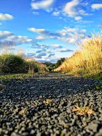 Road passing through field