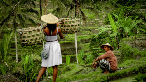 Rear view of couple sitting in farm