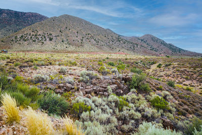 Scenic view of rocky mountains against sky