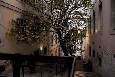 Trees by building against sky