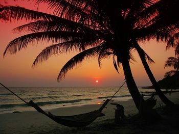 Silhouette of palm tree at beach during sunset