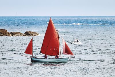 Sailboat sailing on sea against clear sky