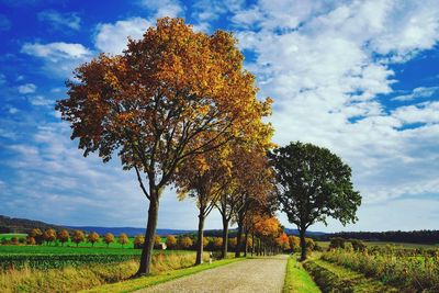 Trees on field against sky during autumn