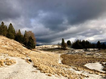 Scenic view of landscape against sky