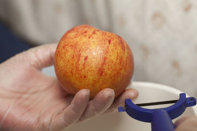 Cropped hands of person holding apple with peeler