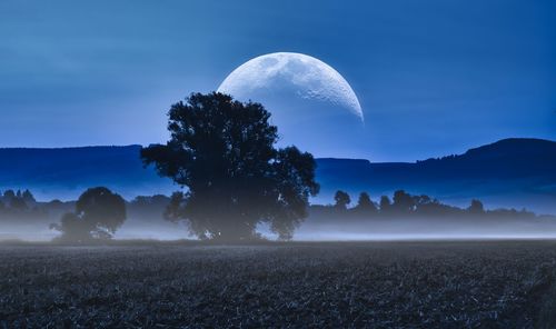 Scenic view of field against sky at night