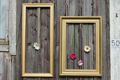 Close-up of flowers on wooden door