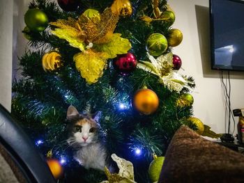 Close-up of christmas decorations at home