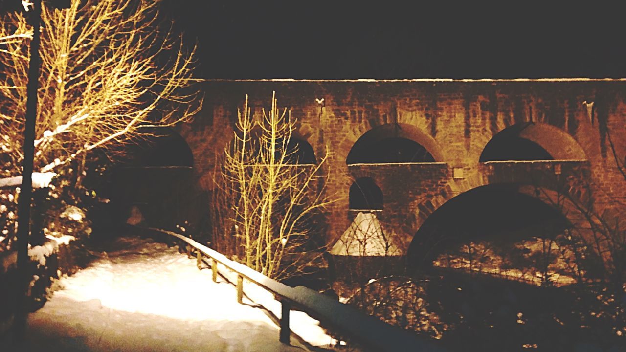 architecture, built structure, building exterior, tree, arch, night, bare tree, illuminated, bridge - man made structure, connection, low angle view, clear sky, branch, building, no people, outdoors, arch bridge, sky, bridge, reflection