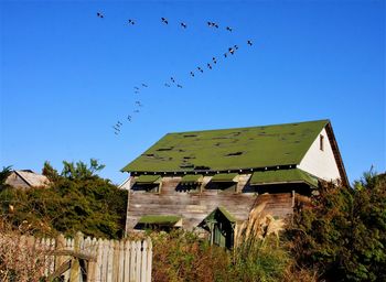 Low angle view of birds flying against blue sky