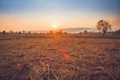 Scenic view of field against sky during sunset