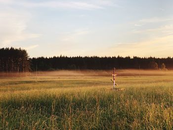 Scenic view of field against sky