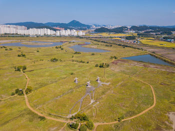 Scenic view of field against sky