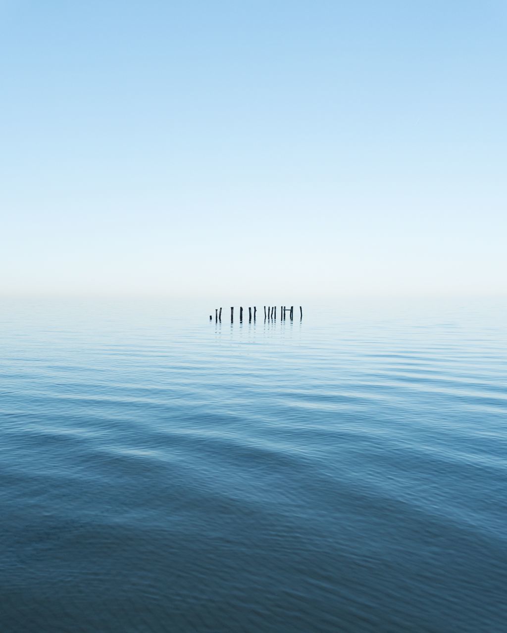 water, waterfront, sky, tranquil scene, tranquility, beauty in nature, scenics - nature, nature, clear sky, sea, blue, day, no people, vertebrate, horizon, bird, copy space, animals in the wild, animal themes, horizon over water, wooden post