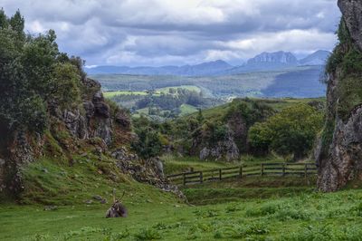 Scenic view of landscape against sky