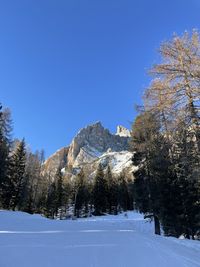 Tofana dolomiti cortina d'ampezzo