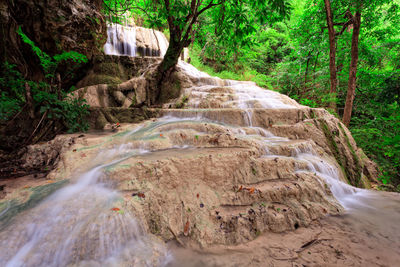 Stream flowing through rocks in forest