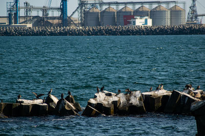 Scenic view of sea with seagulls against buildings