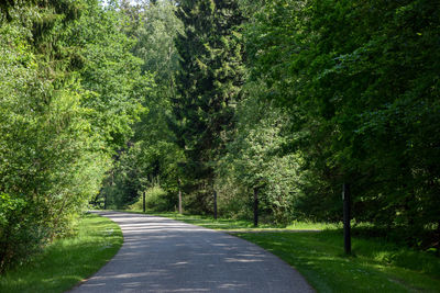 Road amidst trees in forest