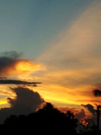 Low angle view of silhouette trees against sky during sunset