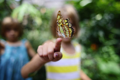 Butterfly on girl's finger at park